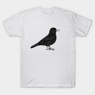 Blackbird Ink Art - on light colors T-Shirt